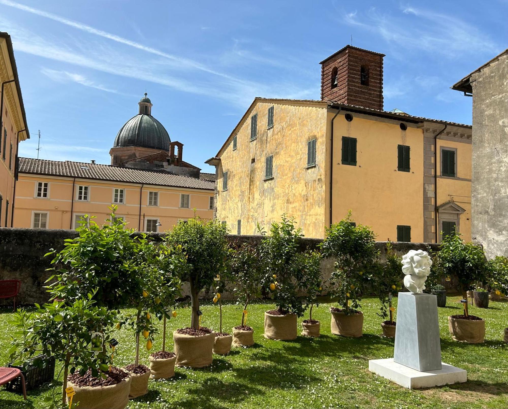 Art Hotel Pietrasanta Esterno foto