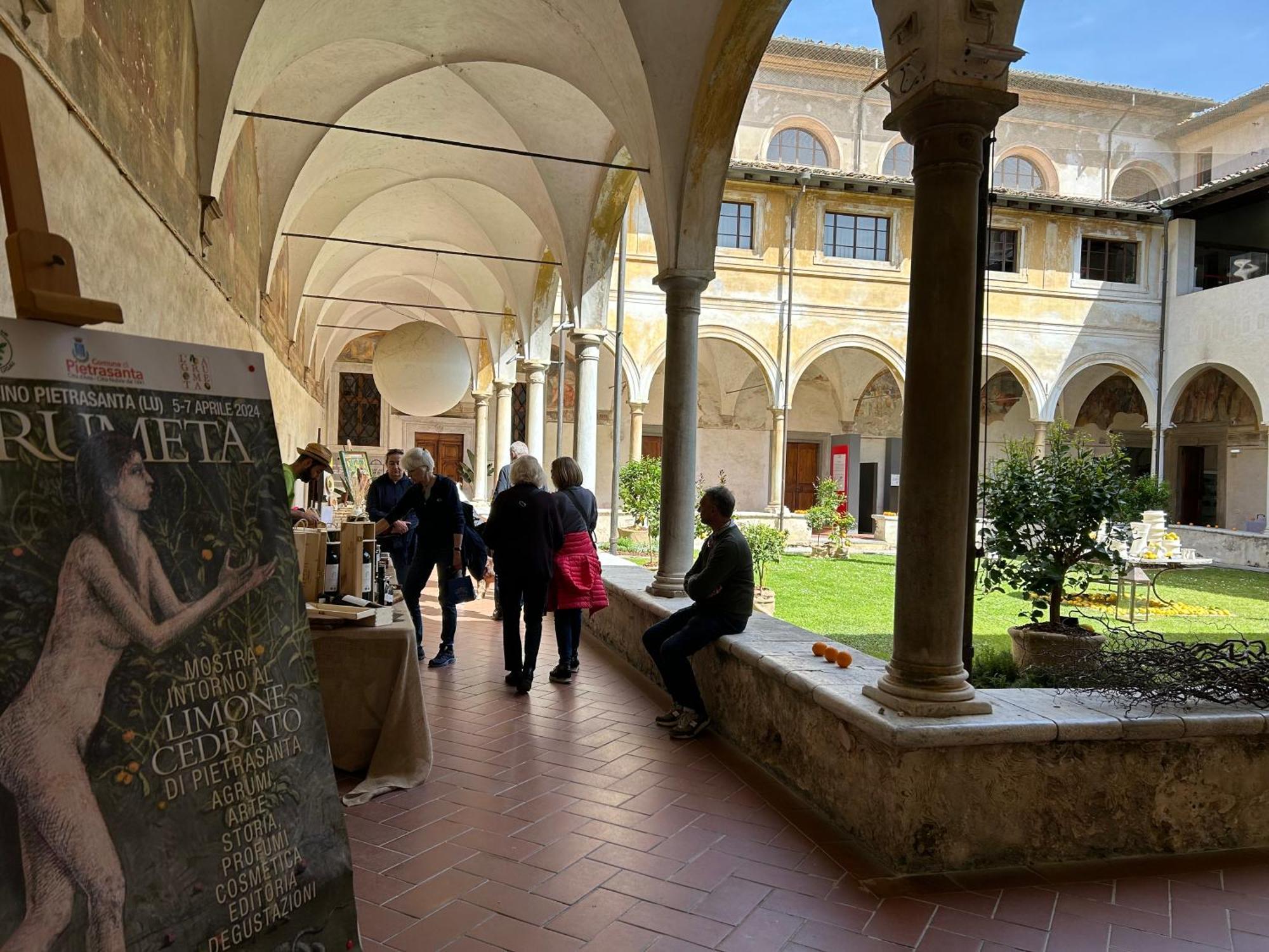 Art Hotel Pietrasanta Esterno foto