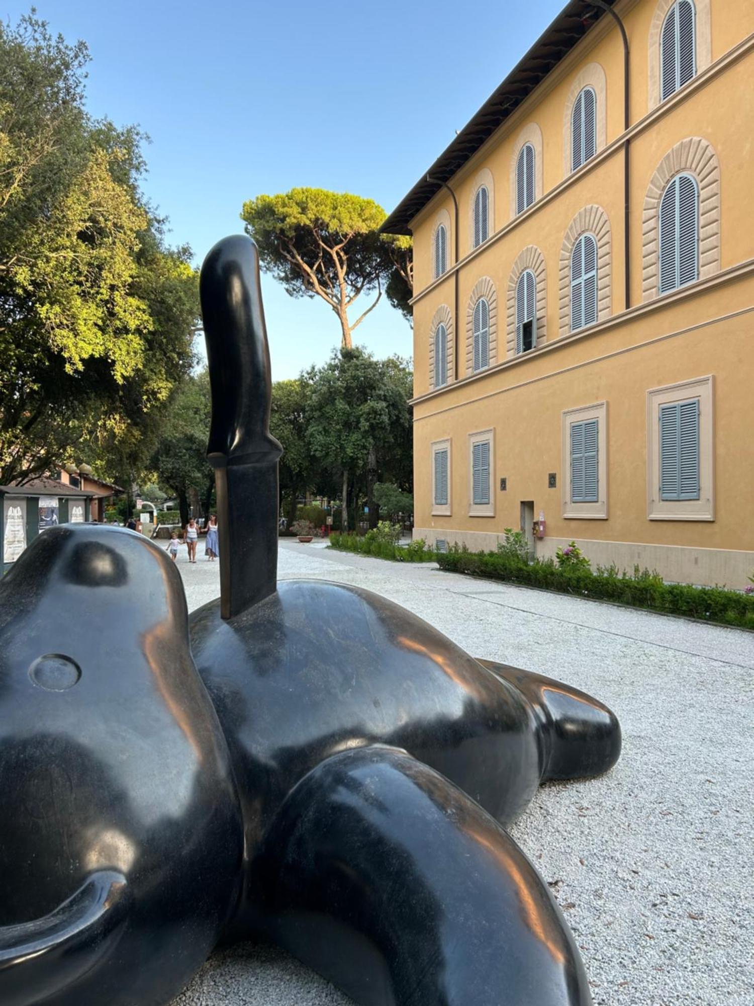 Art Hotel Pietrasanta Esterno foto