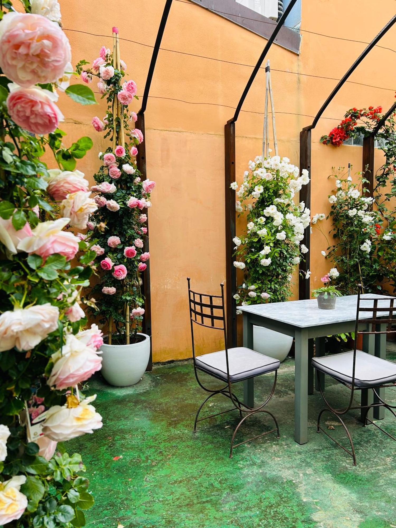 Art Hotel Pietrasanta Esterno foto